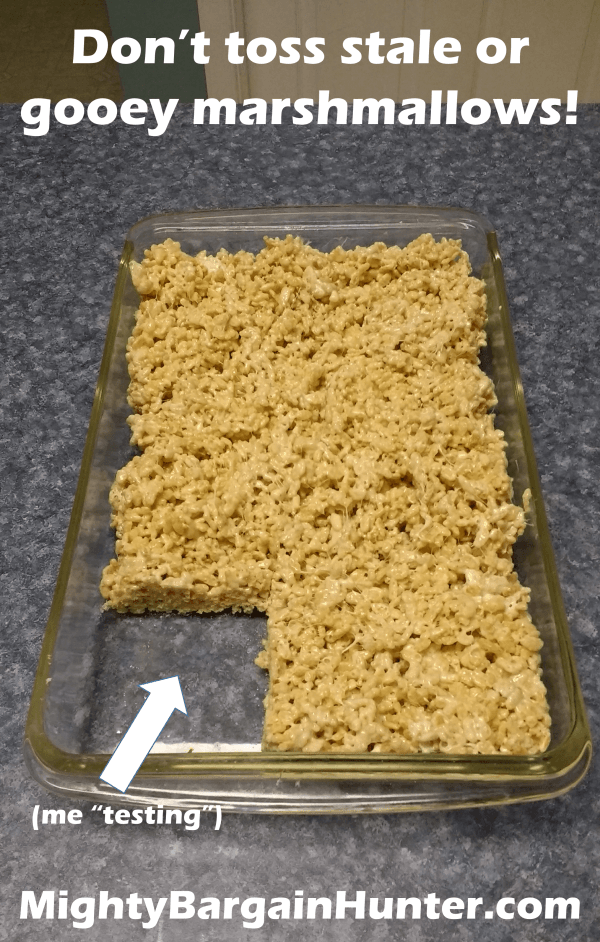 Marshmallow experiment Reviving old marshmallows Mighty Bargain Hunter