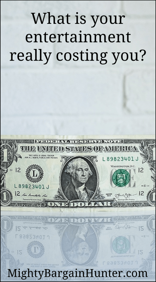 The real cost of entertainment Mighty Bargain Hunter